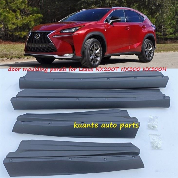 Lexus NX200t door moulding