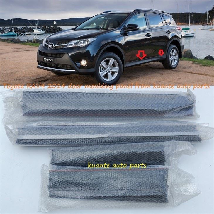 RAV4 2014 door moulding panel